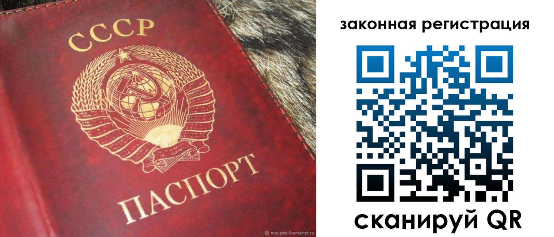прописка от собственника в Краснокамске